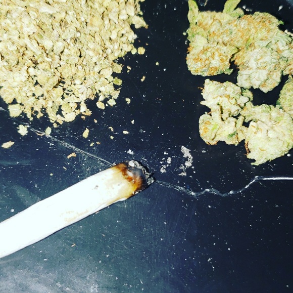 Meet your Posher, Brenan - Picture 1 of 1